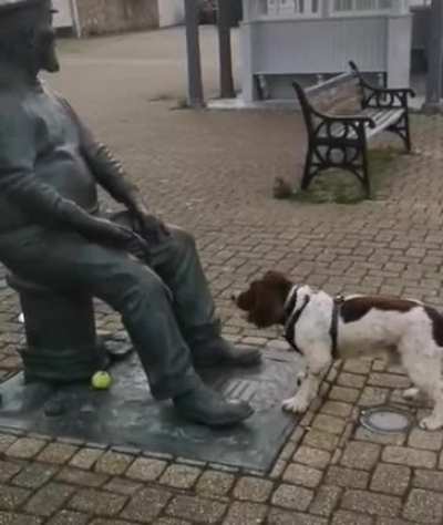 Go fetch
