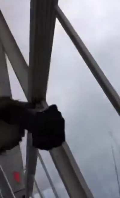 to scare a bird