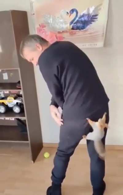 That&rsquo;s the most squirrel game imaginable