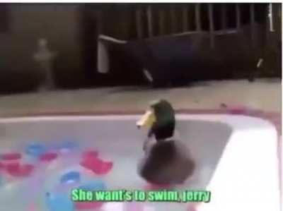 JERRY