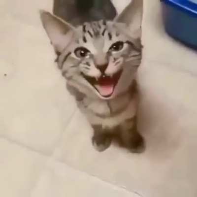 He was hungry