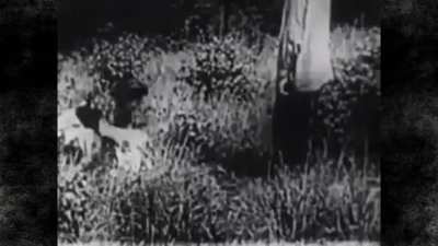 The Big Fight (1920)