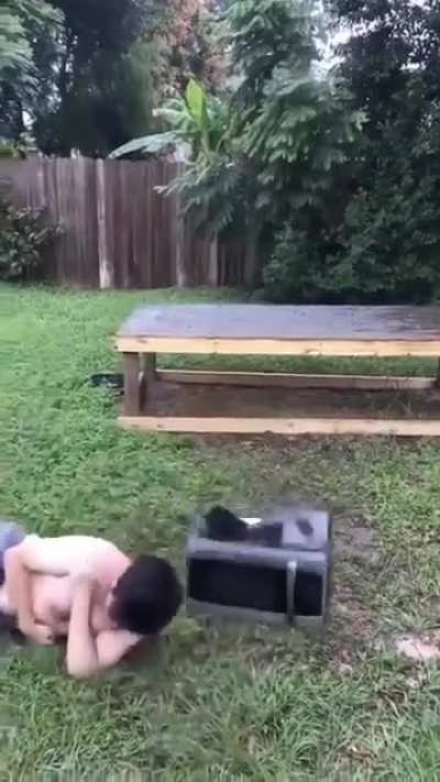 L