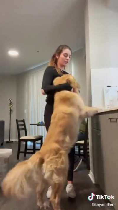 Playing with a puppy