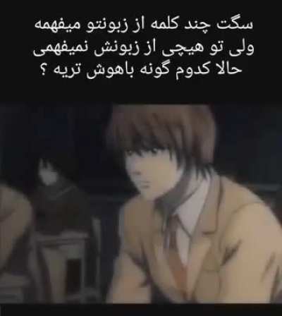 🪨