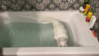 So&hellip; yeah&hellip; was not expecting this scene when I came to take my bath