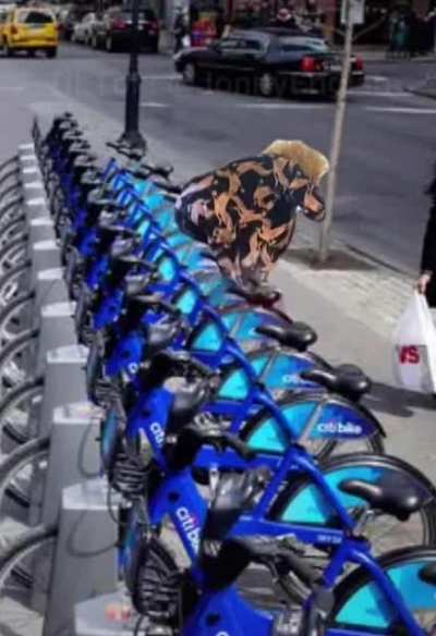 🚴