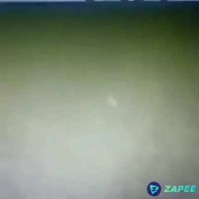 Creeper an&atilde;o