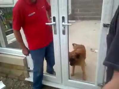 U may be magician hooman, but I am just dog.