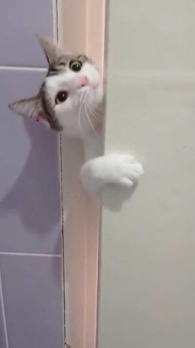 HERE'S JOHNNY!!!