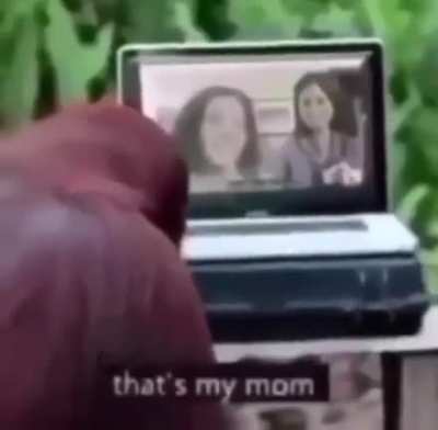 Monke speak