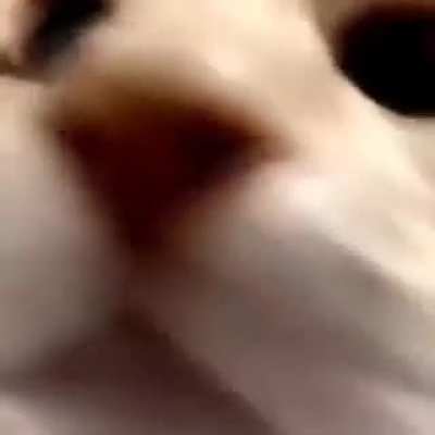 🥲