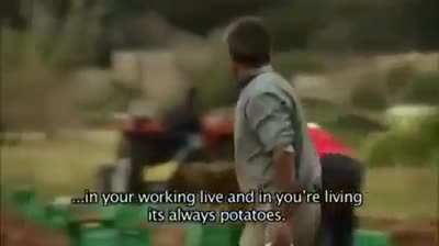 My life is potato