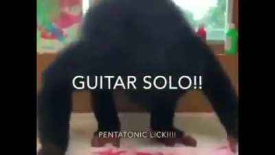 im gonna send this to my monke grandma