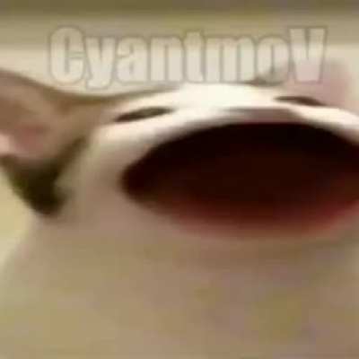 &Eacute; o mininu de papai &eacute;