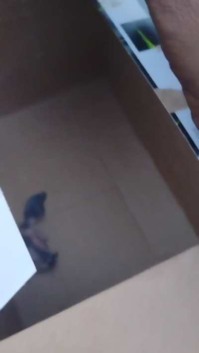 Found baby.