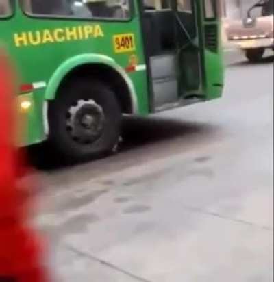 Кот-суицидник (не нсфв)