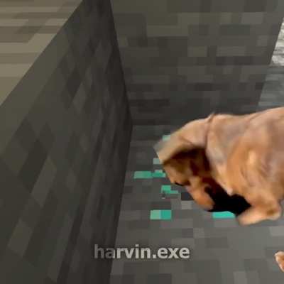 What a poor dog...