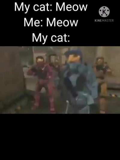 Meow