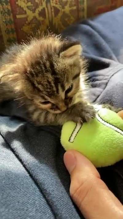 She&rsquo;s sucking her thumb!