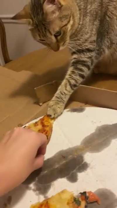 Excuse me but you didn&rsquo;t chip in for pizza night Simon.