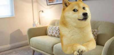 Le therapy has arrived