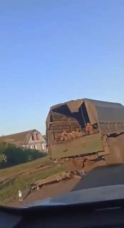 Russian civilian films destroyed column of russian transport trucks packed with dead soldiers. August 2024, Kursk oblast'