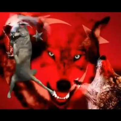 Inside me there are two wolves 😩💦