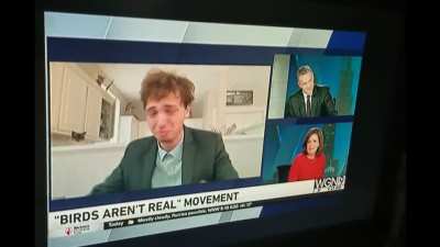 Founder of "Birds Aren't Real" Movement Trolls Live Chicago Morning News
