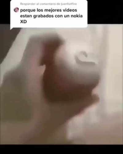 cu&aacute;l es su favorito?