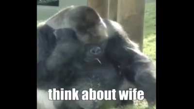 monke mode