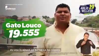 Vote gato louco