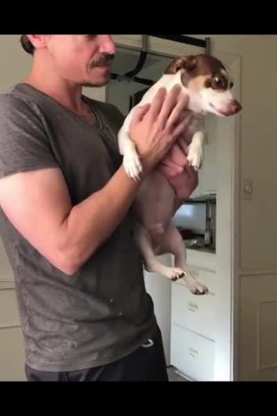 RAA&Aacute;&AElig; ~ Mister Bubz