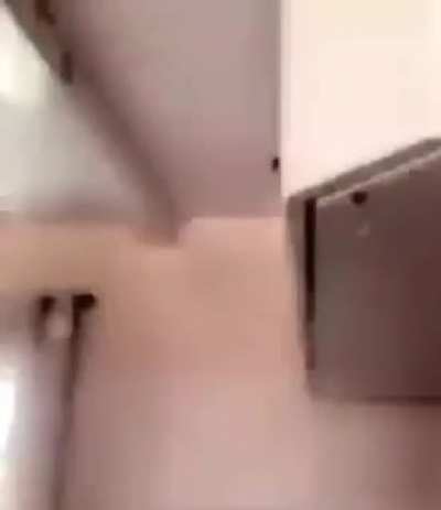 Eco-Smart Fly Trap