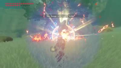 Guys I killed a lynel [Epilepsy Warning]