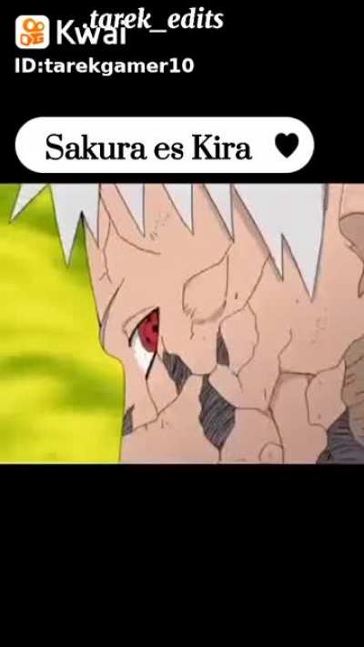 Ent&atilde;o a Sakura &eacute; culpada das mortes