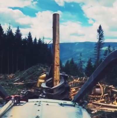 You want some wood?