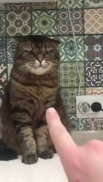 Don't touch me!