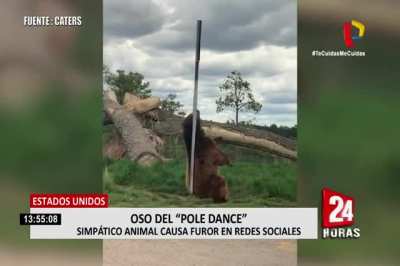 Dance