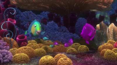 sponge beds