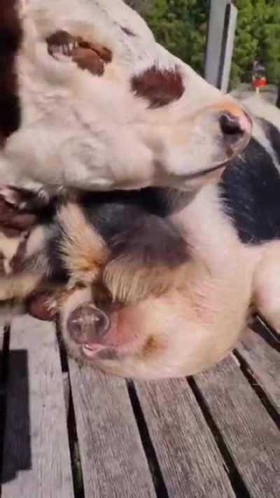 Best friends
