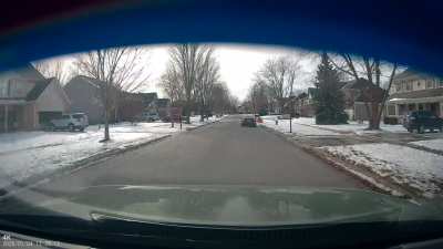 Beef w/ gf&rsquo;s neighbor