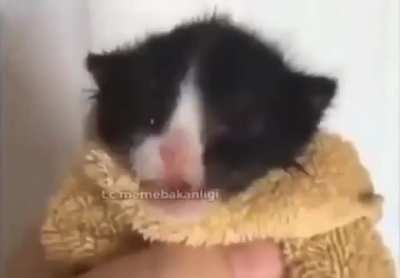 kankaaa