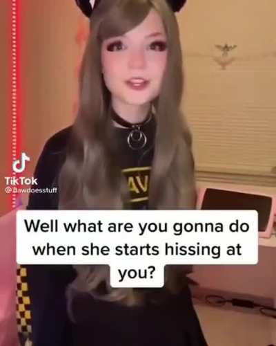 catgirls ❤️