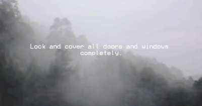 The fog