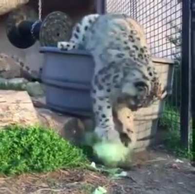 looks like my cat when i&rsquo;m trying to write with a pen