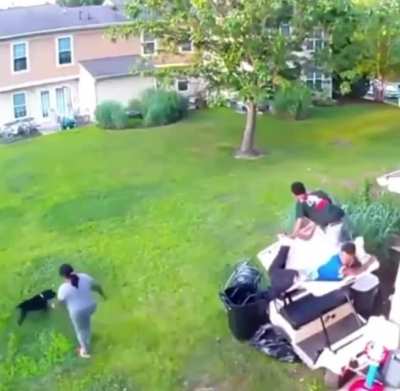 Guess the dog got off the leash...