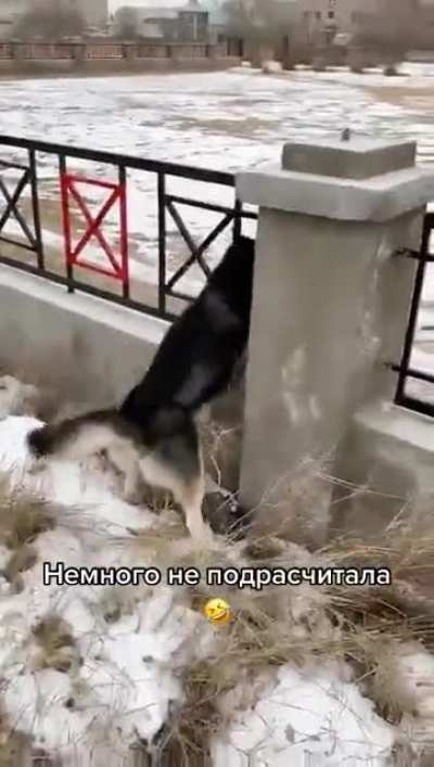 Хуёвый глазомер