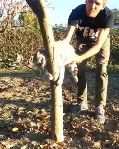 No don&rsquo;t take me, this is my home now!