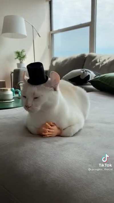 Distinguished gentleman